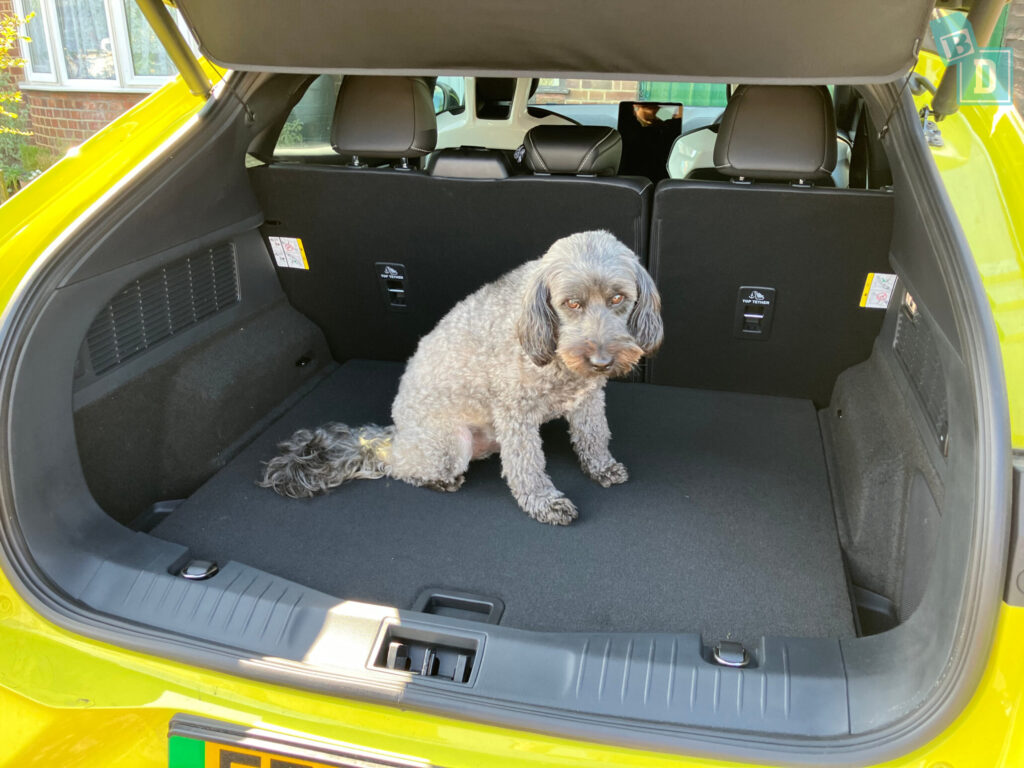 Ford Mustang Mach-E electric SUV rear legroom family road trip