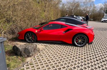 [Multi] Not sure parking at the Ring counts as the “wild” but thought these ones stood out