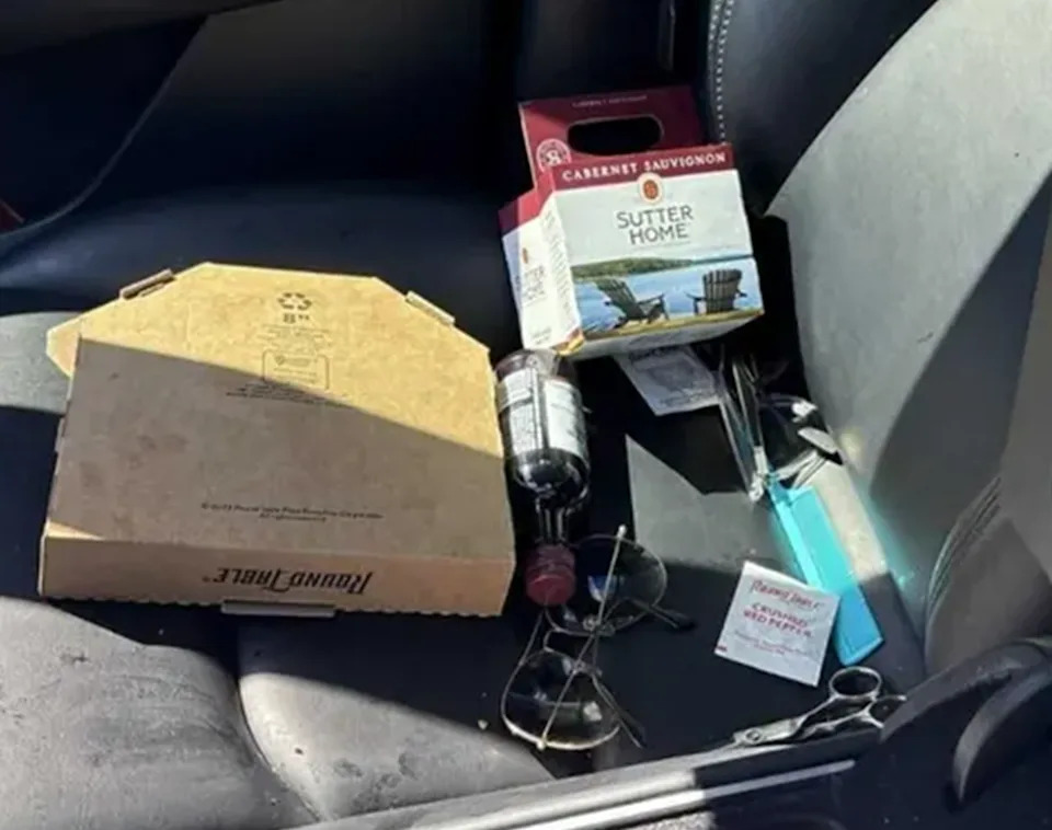 inside tesla pulled over