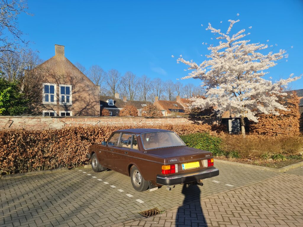 Brown✅️ Classic✅️