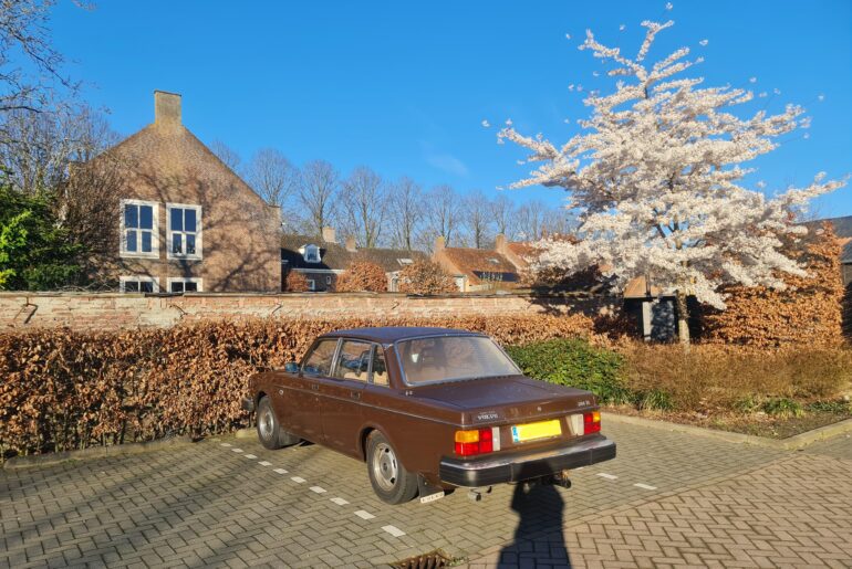 Brown✅️ Classic✅️