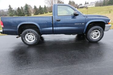 New daily, v8 5 speed 4x4 dakota