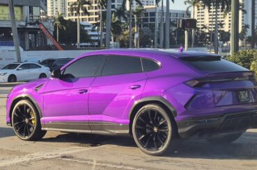 Hey! Look at me!" colored [Lamborghini Urus]