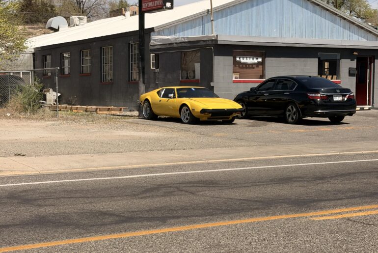 [unknown] in the wild