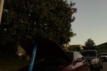 Thoughts on my bucket?