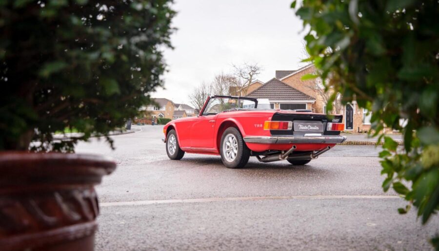 Triumph TR6 – nicely framed by bushes! (1800 x 1200)