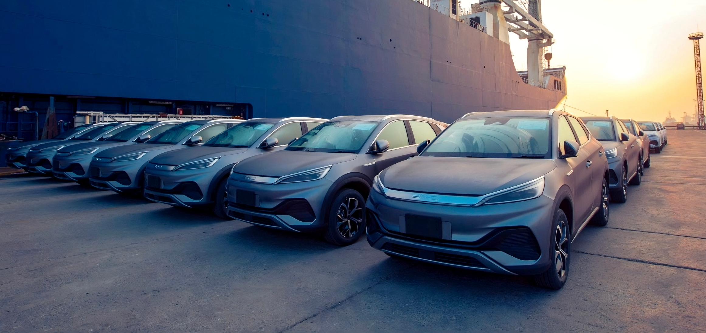 BYDs at port cropped