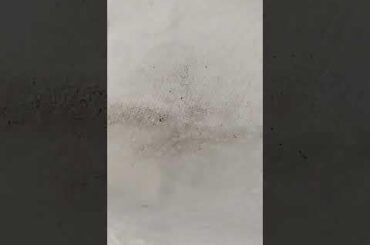 CLEAN YOUR STUFF FIRST!