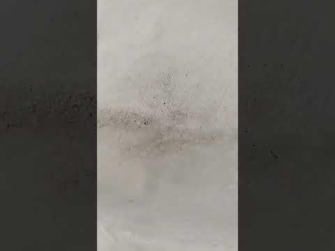 CLEAN YOUR STUFF FIRST!