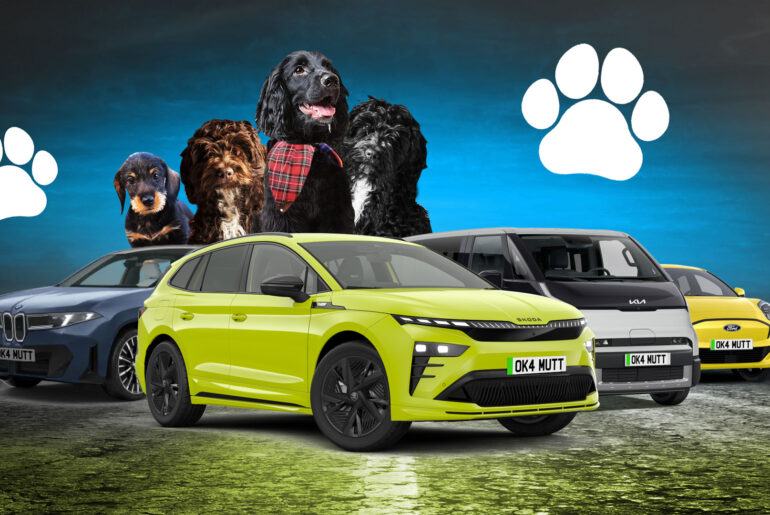 The top EVs for dog owners listed