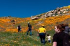 Tejon Ranch Conservancy Seeks Public Engagement Director, Operations Assistant