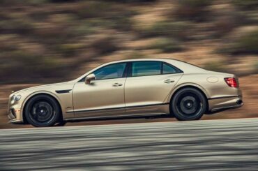 Wrangling 771 Horses on Rodeo Drive