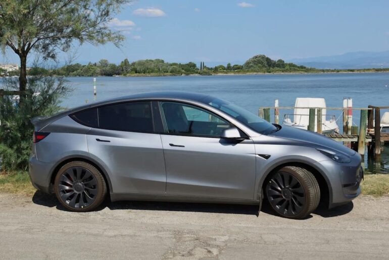 Tesla owner shares video of bizarre incident straight out of 'The Office': 'Attempting to swim'