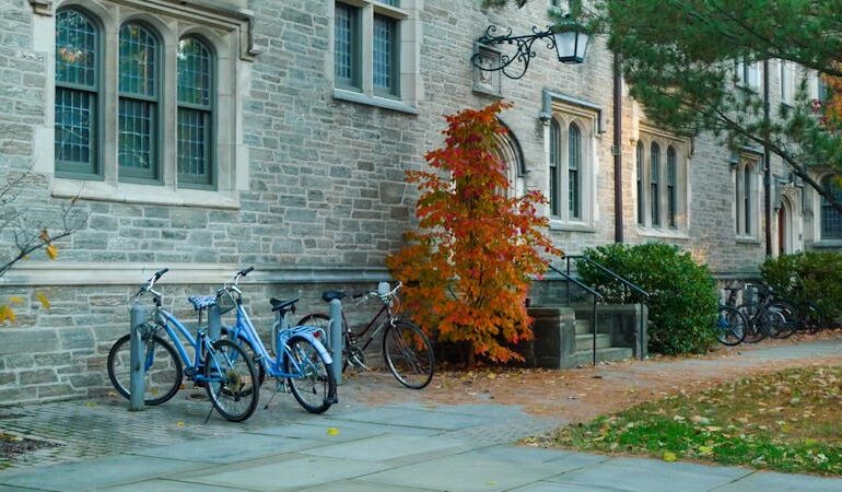 Don't ban e-bikes - The Princetonian