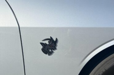 Which cars did fender badging the best? Imo, the demon takes the cake.