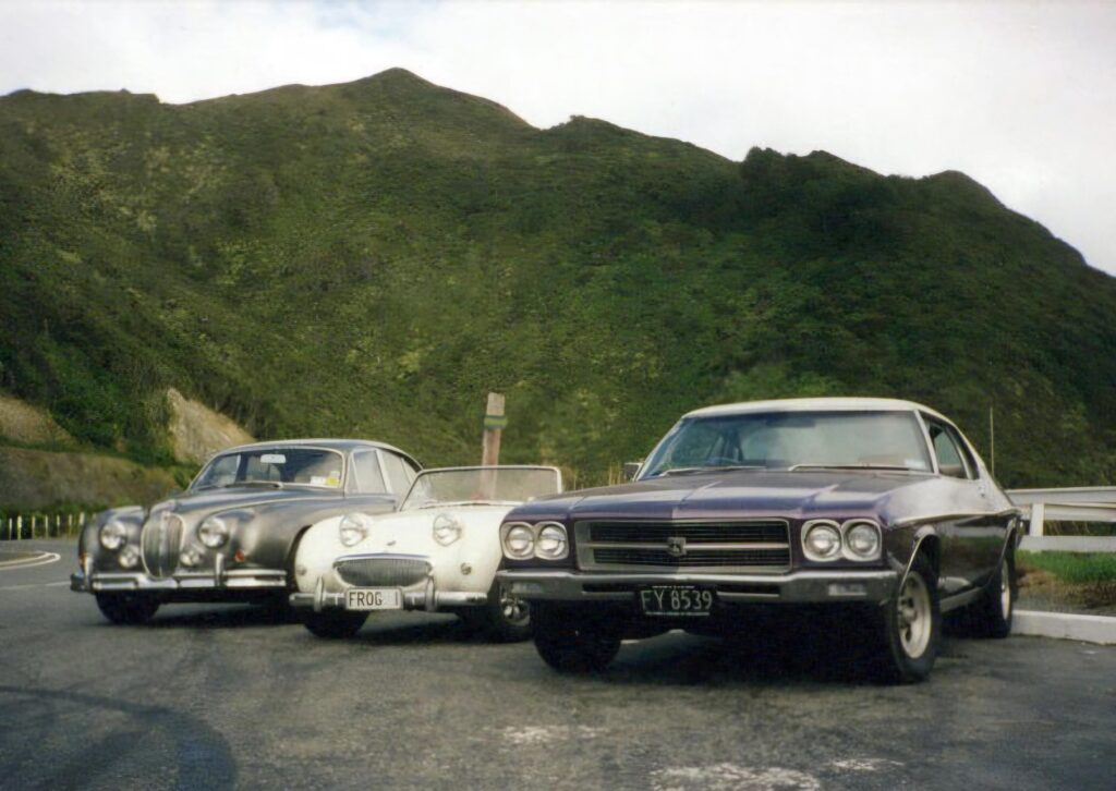 Cat, frog, and shark