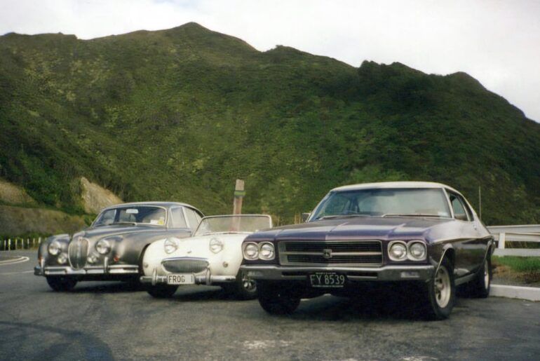 Cat, frog, and shark