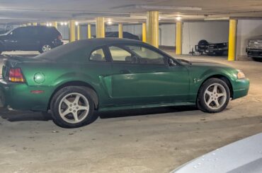 [Mustang Cobra SVT] 2000ish wasting away in my apt garage
