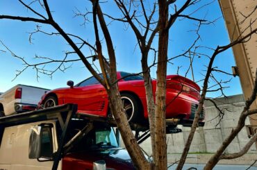 Car Carrier [Multi] 🫠