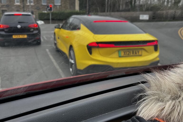 Saw this [Lotus Emeya] today