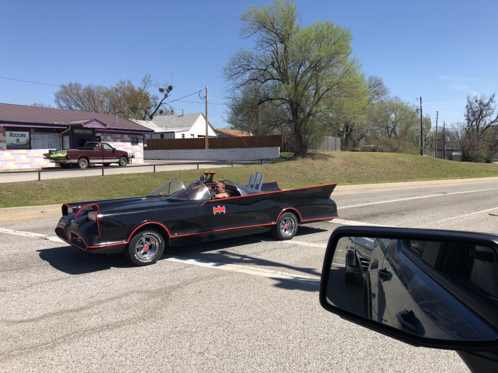 Definitely not something I see every day! [unknown 🦇]