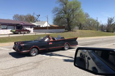 Definitely not something I see every day! [unknown 🦇]