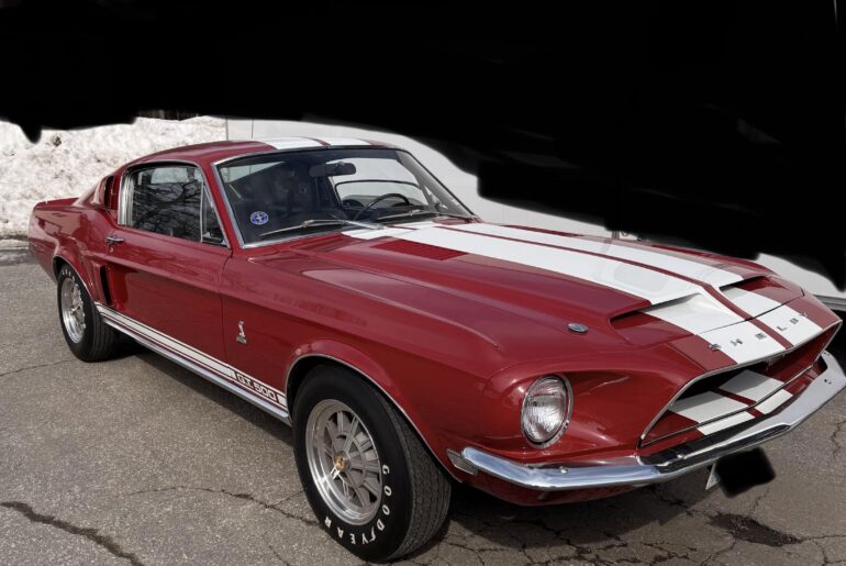 Such a beautiful site to see