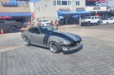 Spotted by the beach