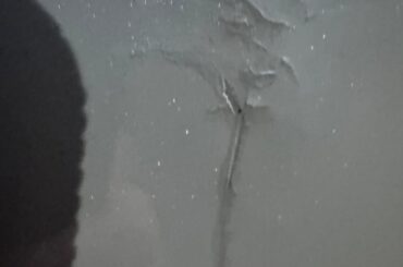 Scratched my wifes new car, any quick fix ideas?