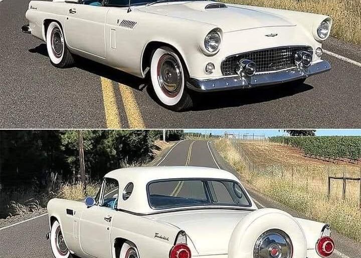 1956 Ford Thunderbird - one of the coolest cars ever