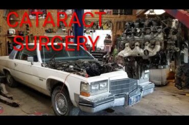 Just a regular ole transplant