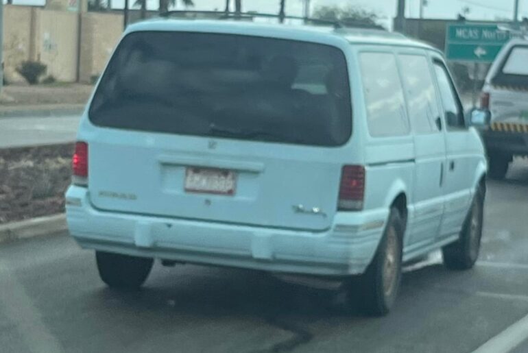 Regulars spotted during rush hour commute.