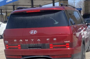 Anyone else see dog bones?