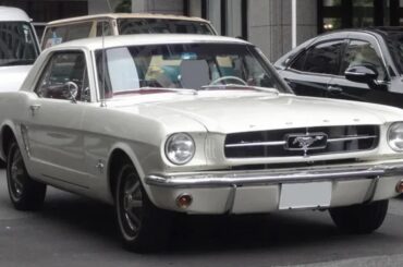 The First Generation Ford Mustang. The Official Car Of....