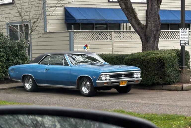 Saw these today, all within the span of 10 minutes. Wilsonville Oregon