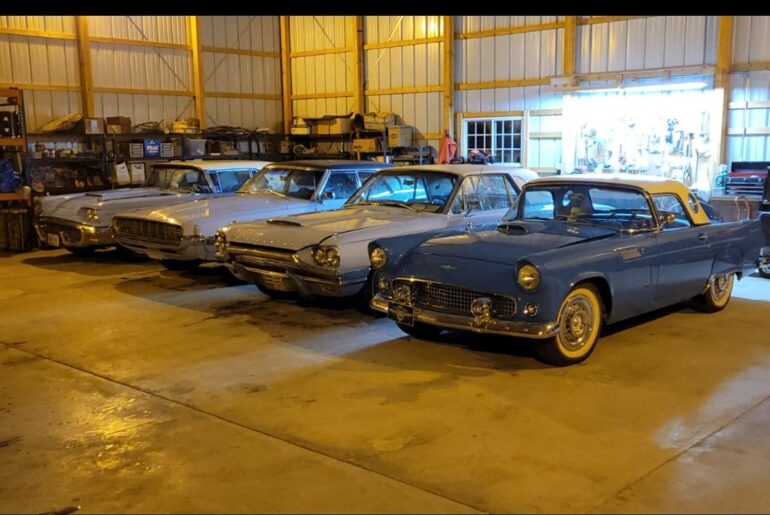 Flock of Thunderbirds I've been workin on this winter