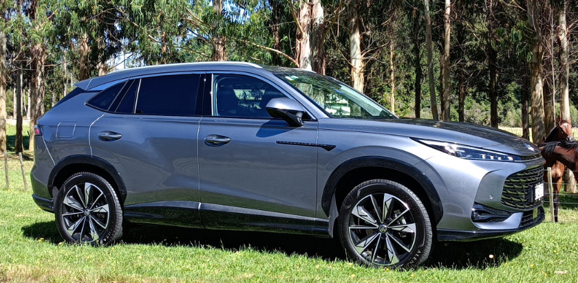 MG HS with horses in background