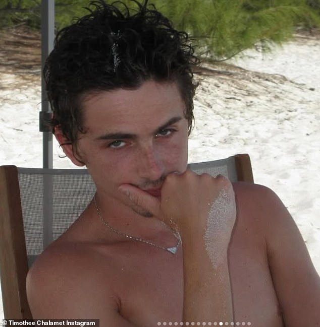 Timothée Chalamet faced yet another embarrassing moment on Saturday, when his high-end Lucid Air electric car was towed from his Beverly Hills home