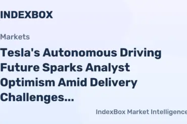 Tesla Robotaxi Strategy: Analyst Bullish on Vision-Only Tech Despite Market Headwinds - News and Statistics