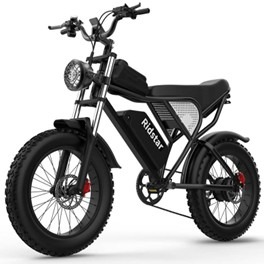 Fire-risk e-bike warning leaves residents with few safe disposal options