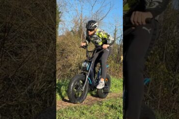 JOBOBIKE Fat Tire E-Bike | Extreme Mountain Riding Test