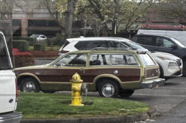 Check out this awesome Pinto Squire Wagon I saw today!!!