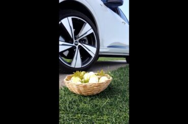 Mission accepted. Your eggs are safe with us. 🥚