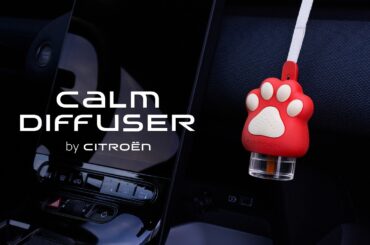 Introducing the Citroën Calm Diffuser