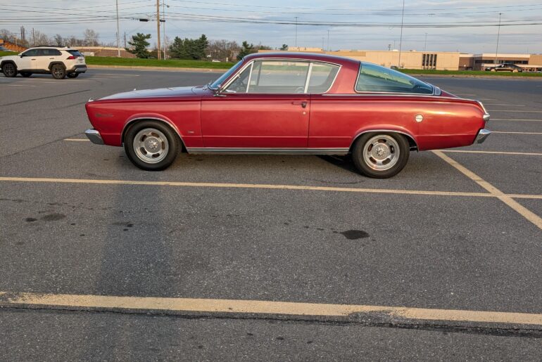 Brought Bessey to the gym