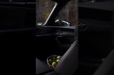 Delivering easter: adaptive air-suspension in action