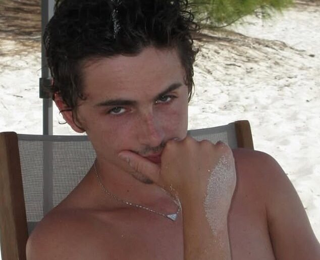 Timothée Chalamet faced yet another embarrassing moment on Saturday, when his high-end Lucid Air electric car was towed from his Beverly Hills home