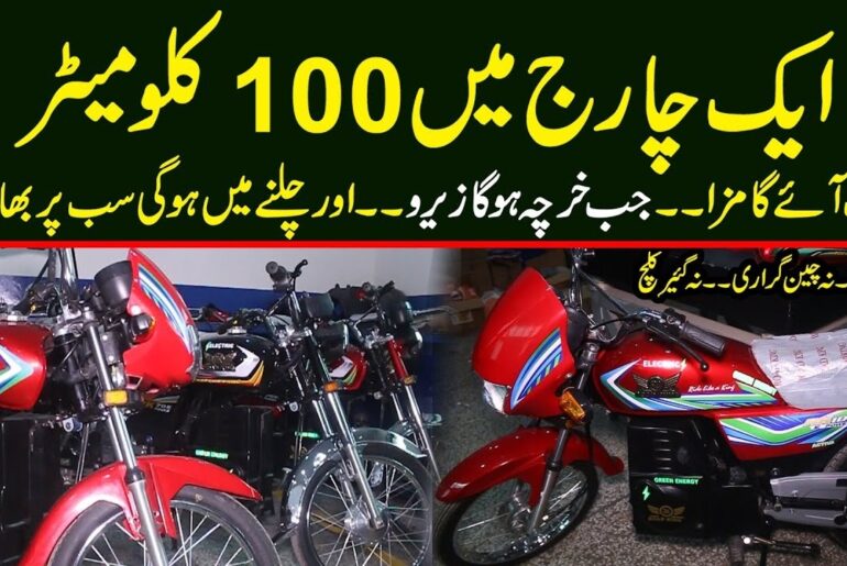 Ek Charge Me 100 KM Range - Road King Electric Bike - Na Engine Na Chain Garari Na Gears Clutch