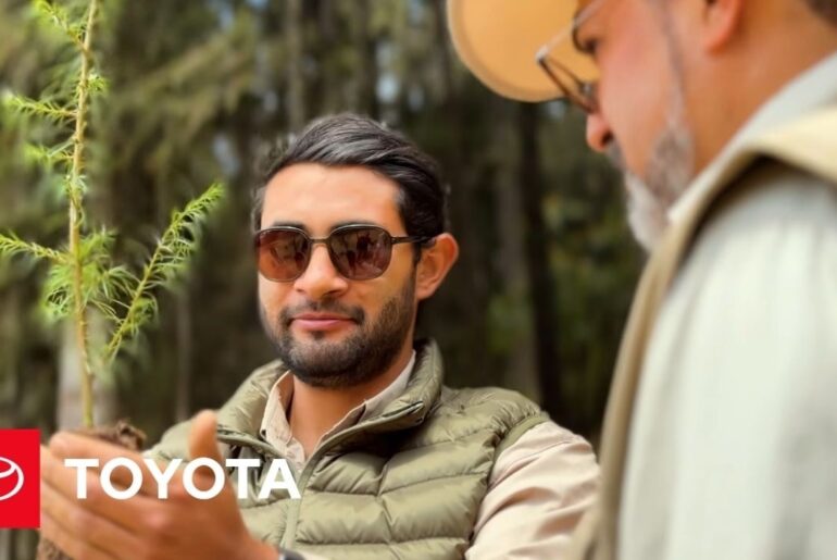 Partnering for Pollinators: Toyota’s 26,000-Acre Commitment | Toyota
