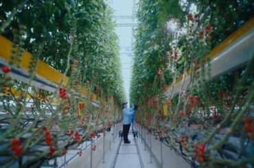 BEYOND ZERO | Welcome to Toyota’s Farm Lab (Long) | Toyota
